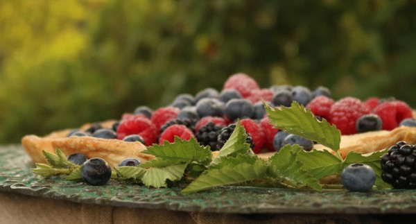 Tarte de Bagas Silvestres